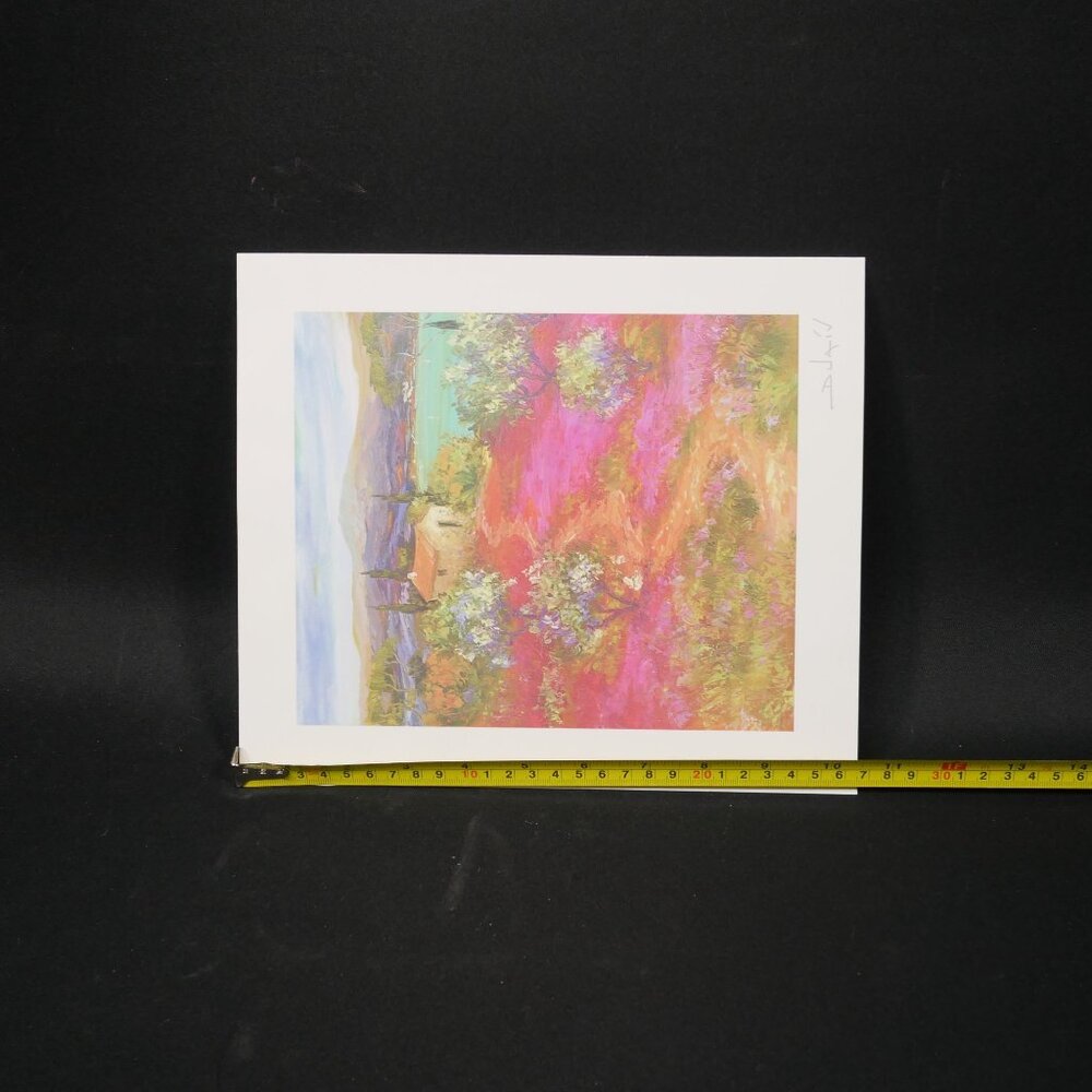 "Arrivee Au Lac" By Duaiv Signed Seriolithograph - Picture 5 of 5